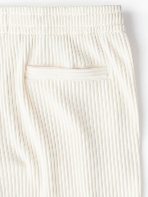 H&M Men Regular Fit Pleated Shorts