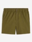 H&M Men Regular Fit Linen-Blend Shorts