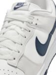 Nike Dunk Low Retro Men’s Shoes