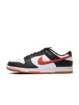 Nike Dunk Low Retro Men’s Shoes