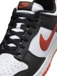 Nike Dunk Low Retro Men’s Shoes
