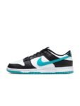 Nike Dunk Low Retro Men’s Shoes