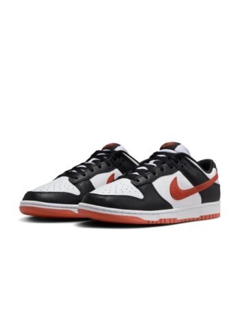 Nike Dunk Low Retro Men's Shoes