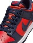 Nike Dunk Low Retro Men’s Shoes