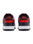 Nike Dunk Low Retro Men’s Shoes
