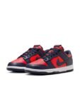 Nike Dunk Low Retro Men’s Shoes