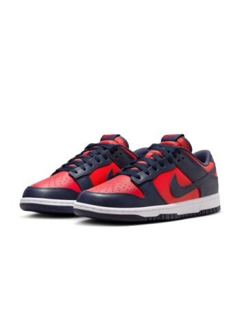 Nike Dunk Low Retro Men's Shoes