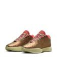 Nike Men LeBron XXI 'Queen Conch' EP Basketball Shoes